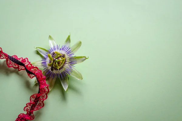 Passiflora Edulis Flower Next Piece Red Black Lingerie — Stock Photo, Image