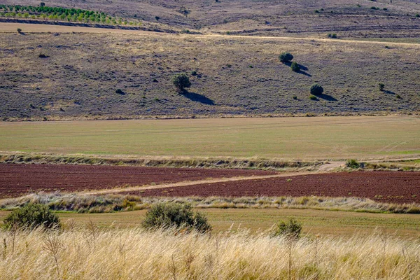 Campos Agrícolas Una Zona Rural Provincia Soria España — Foto de Stock