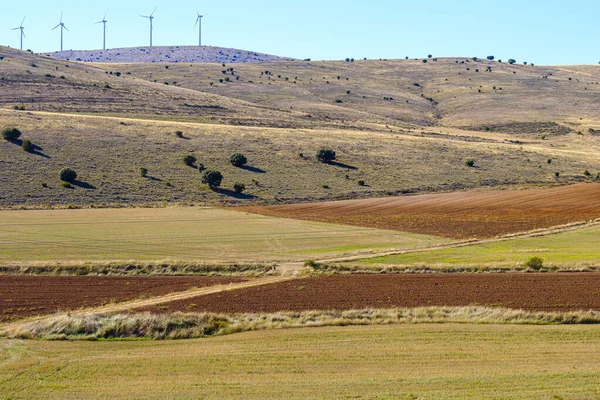 Terras Agrícolas Numa Zona Rural Província Soria Espanha — Fotografia de Stock