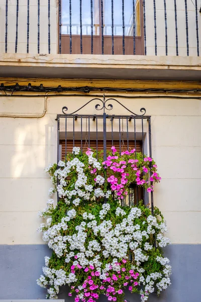 Lattice Window White Pink Petunias House Teruel Spain — Stock Photo, Image