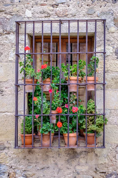 Ventana Cerrada Con Geranios Una Calle Pedraza Pueblo Español Situado —  Fotos de Stock