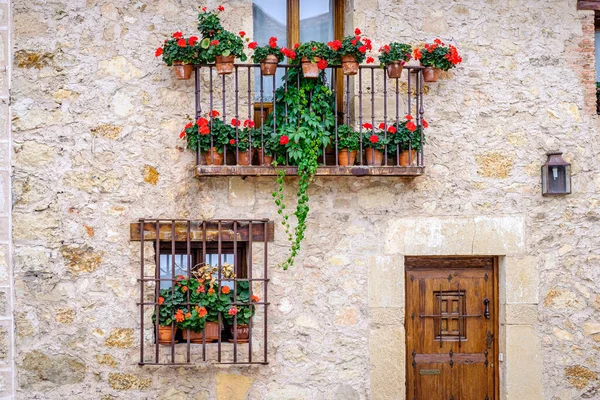 マドリードの北に位置するスペインの町ペドラサの典型的な農村の家のファサード — ストック写真