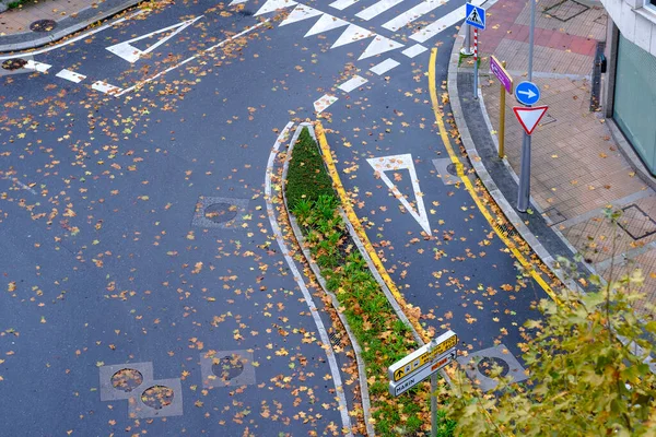 Straße Einer Stadt Mit Umgestürzten Platanen Auf Der Straße — Stockfoto