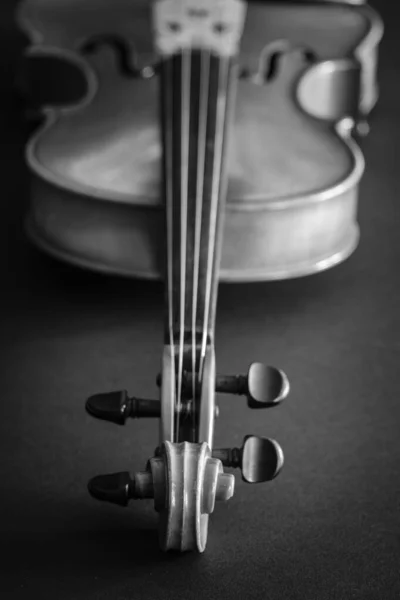 Detail Viola Rubbed String Musical Instrument Similar Materials Construction Violin — Stock Photo, Image