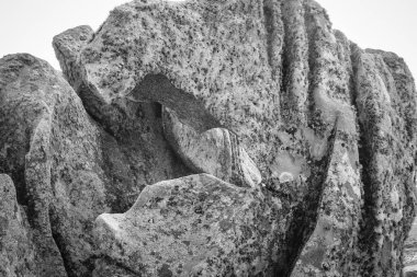 Zoomorfik granit kayalar, Punta Nariga Deniz feneri yakınlarında, La Coruna, Galiçya 'da (İspanya) Malpica de Bergantinos eyaletinde,).