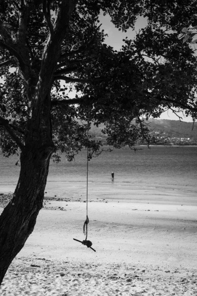 Huśtawka Improwizowana Kijem Sznurkiem Plaży Samieira Rias Baixas Galicja Hiszpania — Zdjęcie stockowe