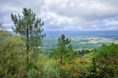 Galiçya 'daki Ourense ilindeki bir vadinin panoramik görüntüsü (İspanya)