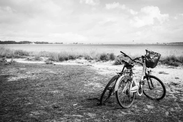 Isla Arosa Espaa Agosto 2020 Duas Bicicletas Estacionadas Parque Natural — Fotografia de Stock