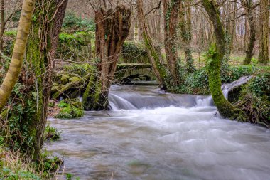 Galiçya 'nın Pontevedra kentindeki Camino de Santiago' nun (İspanya) güzergahlarından birinde bulunan Gafos Nehri 'nde küçük bir şelale.)