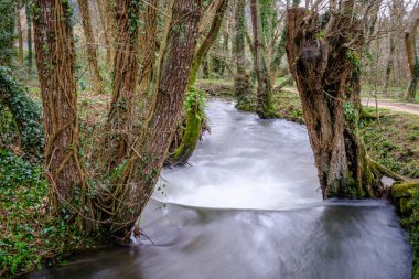 Galiçya 'nın Pontevedra kentindeki Camino de Santiago güzergahlarından birine yakın Gafos Nehri (İspanya))