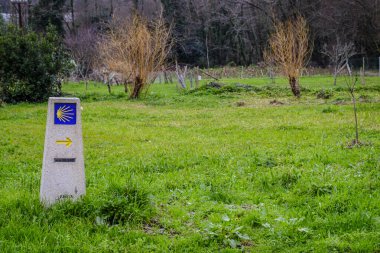 Galiçya 'nın Pontevedra iline (İspanya) Camino de Santiago sembolü ile postala)