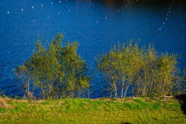 Pontillon de Castro rezervuarı, Galiçya 'nın Pontevedra kentine içme suyu sağlayan Pontevedra belediyesinde (İspanya) Verducido bölgesinde yer almaktadır.).