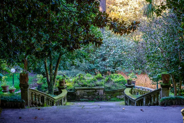 石造りの階段は ガリシア スペイン ポンテベドラ市庁舎のヘルバロンガ広場にある邸宅 ルリザン宮殿の既存の庭園にあります — ストック写真