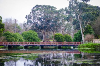 Pontevedra köyünün (İspanya) bir parkındaki sulak alanların üzerindeki tahta köprü)