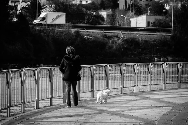 Pontevedra Spain February 2021 Woman Dog Walks Promenade Runs Lerez — Stock Photo, Image