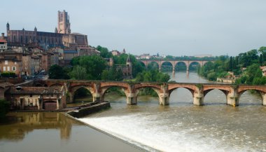 Albi
