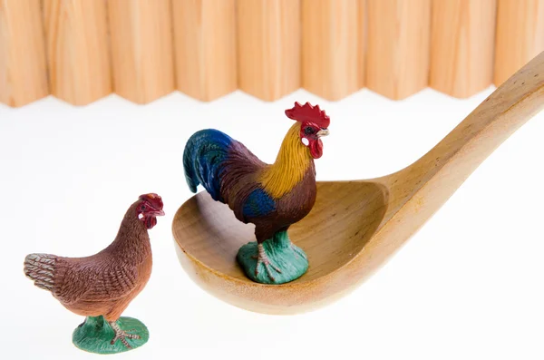 Gallo e gallina — Foto Stock