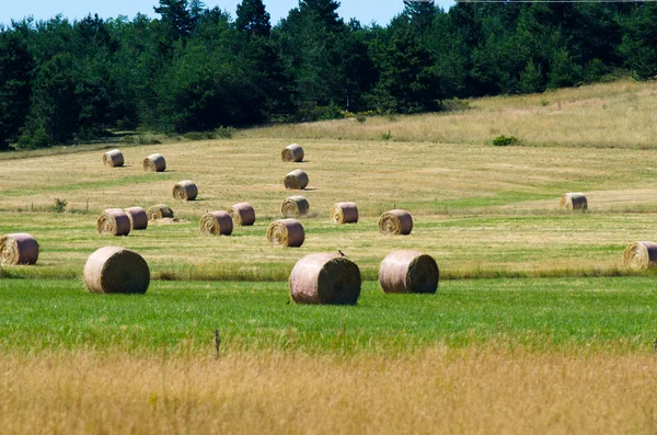 Strobalen — Stockfoto