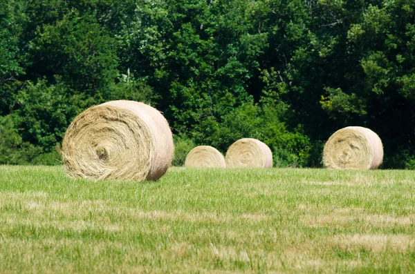 Pacas de paja — Foto de Stock