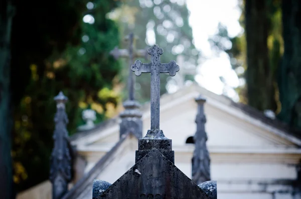 Croci in un cimitero — Foto Stock