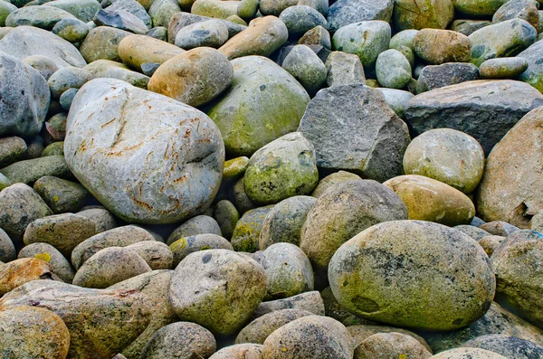 Stones near of the sea — Stock Photo, Image