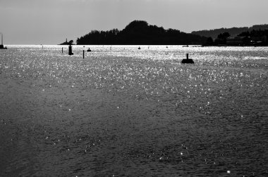 Pontevedra Haliç, Lerez Nehri'nin ağzında