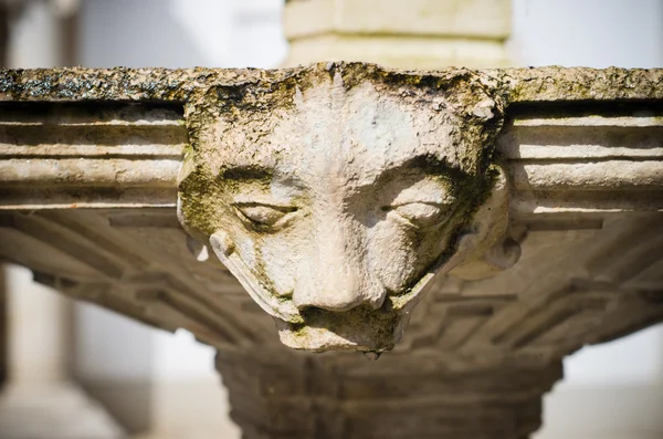 Detail of a fountain in the shape of face — Stock Photo, Image
