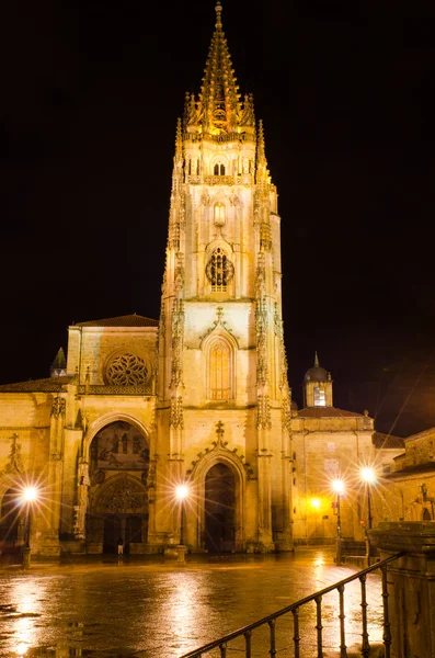 Catedral à noite — Fotografia de Stock