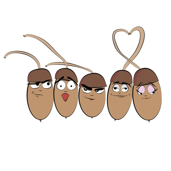 Five funny cartoon acorn — Stock Photo, Image