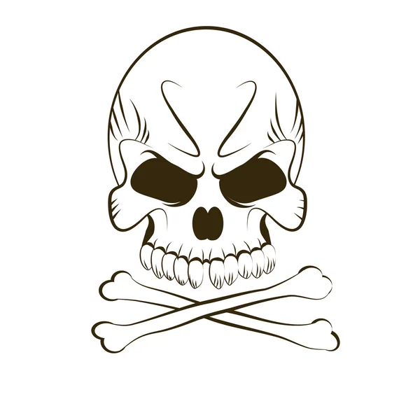 Skull — Stock Photo, Image