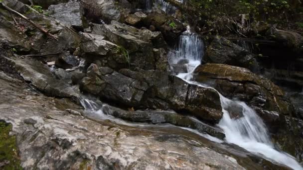 オーストリアのアルプスの渓流 — ストック動画