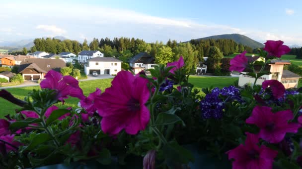 Όμορφο Κήπο Λουλούδια Και Σπίτια Στο Παρασκήνιο Σύννεφα Που Κινούνται — Αρχείο Βίντεο