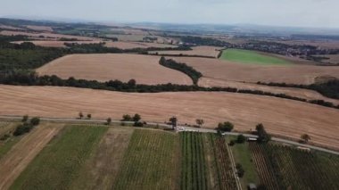 Çek Cumhuriyeti 'ndeki Moravya üzüm bağları arasındaki yol