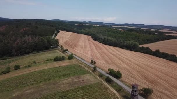 チェコ共和国のモラヴィア ブドウ畑間の道路 — ストック動画