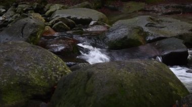 Krkonoe Dağları Ulusal Parkı 'ndaki Mumlava Nehri 