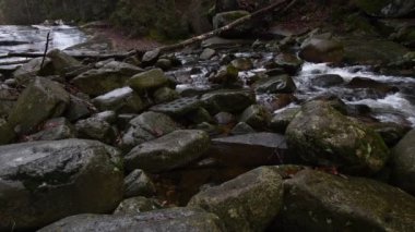 Krkonoe Dağları Ulusal Parkı 'ndaki Mumlava Nehri 