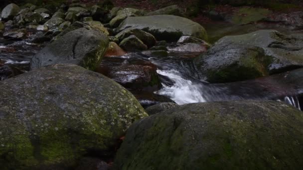 Rio Mumlava Parque Nacional Das Montanhas Krkonoe — Vídeo de Stock