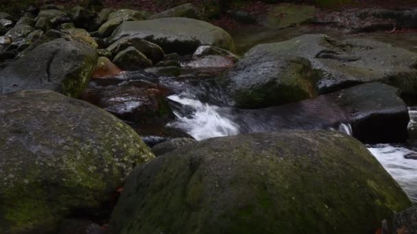 Rio Mumlava Parque Nacional Das Montanhas Krkonoe — Vídeo de Stock