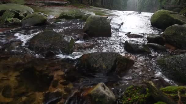Řeka Mumlava Krkonošském Národním Parku — Stock video