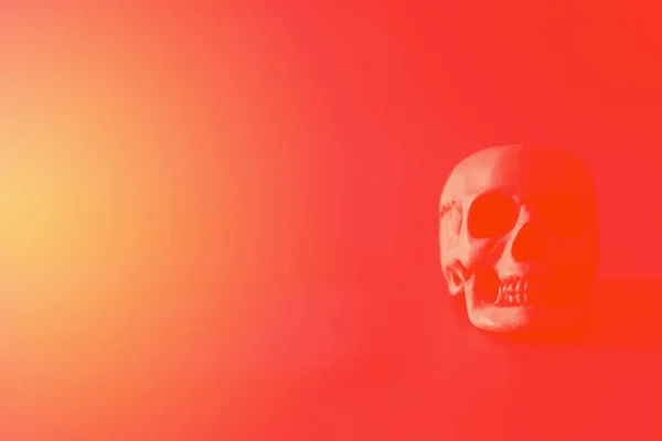 人間の死んだ頭蓋骨の頭 ハロウィンパーティーの背景 — ストック写真