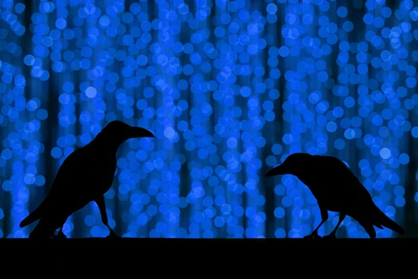 Silueta cuervo con desenfoque festivo bokeh elegante fondo abstracto — Foto de Stock