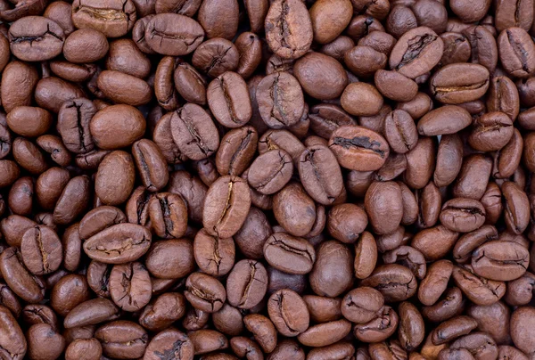 Coffee beans background — Stock Photo, Image