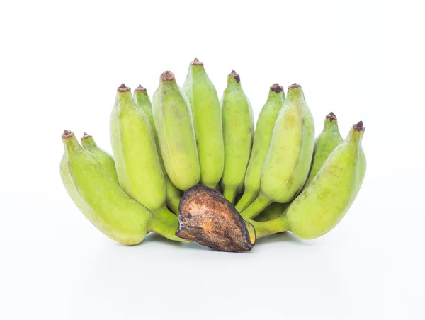 Banana verde su sfondo bianco — Foto Stock