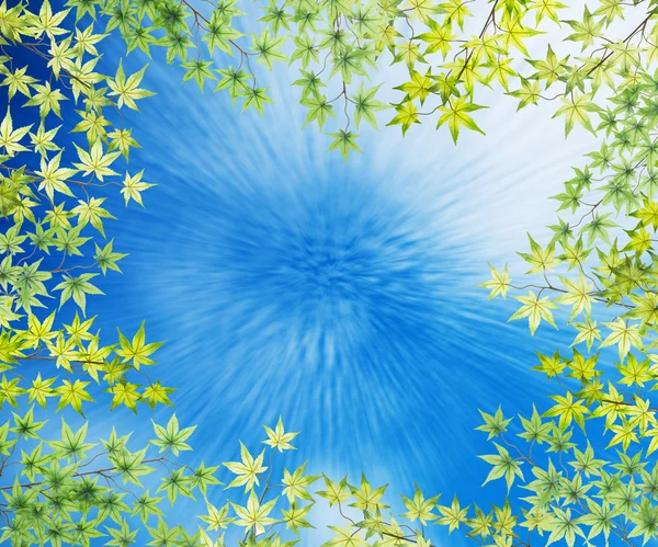 Moldura de folhas de bordo com fundo azul céu — Fotografia de Stock