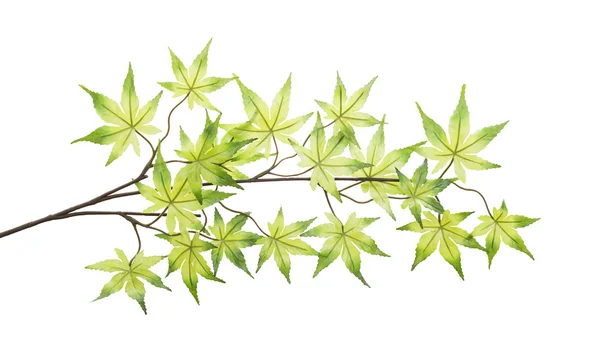 Plastic maple leaves isolated on white background — Stock Photo, Image
