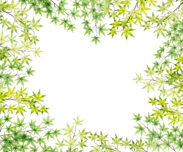 Beyaz arka plan üzerinde izole plastik akçaağaç yaprakları çerçeve — Stok fotoğraf