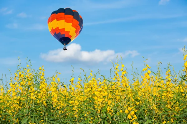 Hot air balloon over yellow flower fields against blue sky — Stock Photo, Image