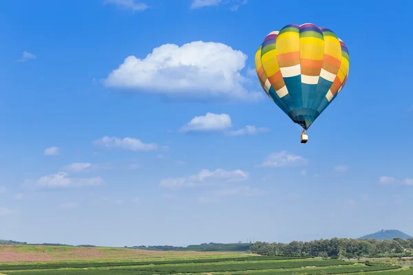 Sıcak hava balonu ile yeşil doğa arka plan — Stok fotoğraf