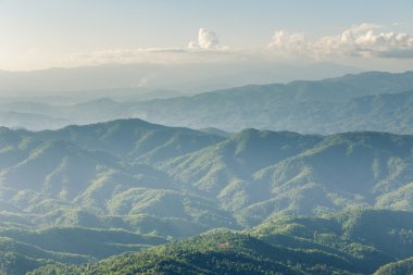 Yüksek orman Dağı havadan görünümü