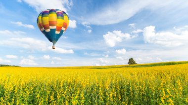 sıcak hava balonu üzerinde sarı çiçek alanları mavi gökyüzü